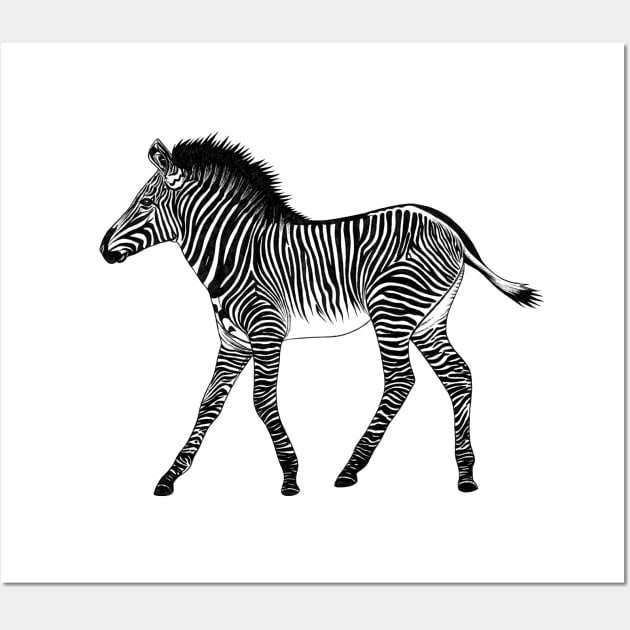 Zebra foal - ink illustration Wall Art by lorendowding